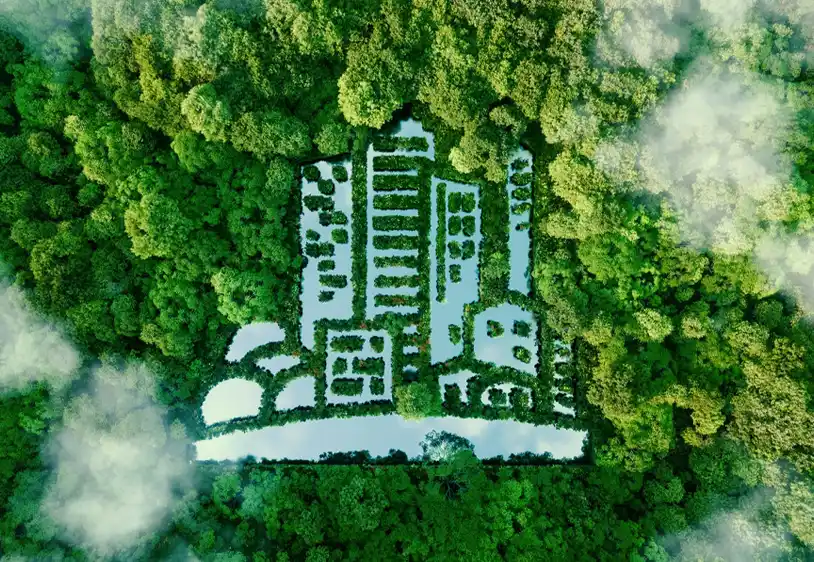 A Designer On A Desk